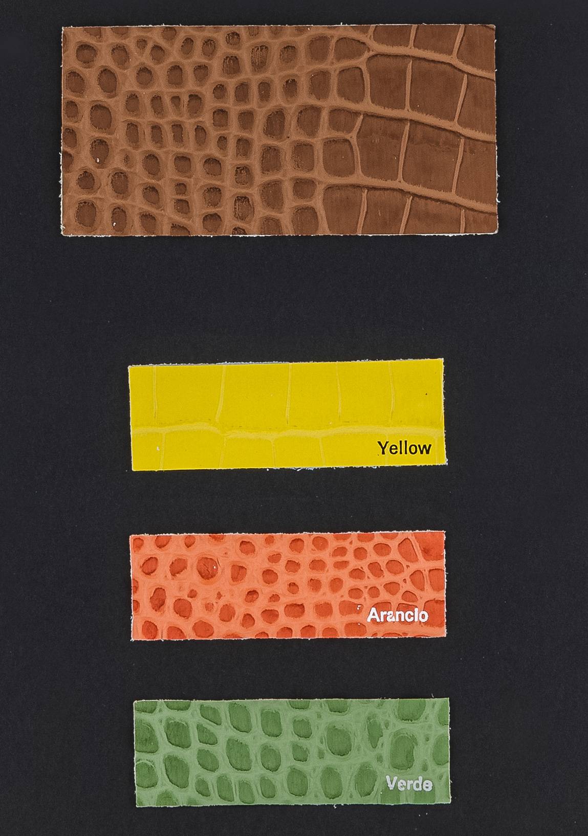 Skin color card Ta.go srl